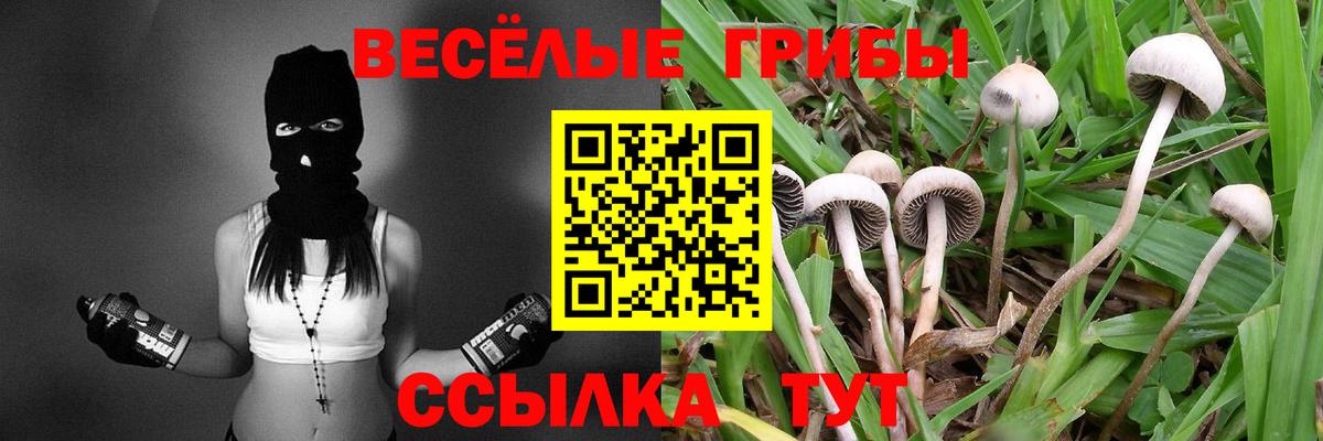 Галлюциногенные грибы Magic Shrooms  Вход с VPN  Шатура 